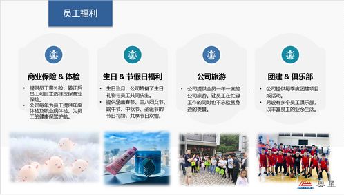 奥星集团2020年招生简章与专业辅助服务说明
