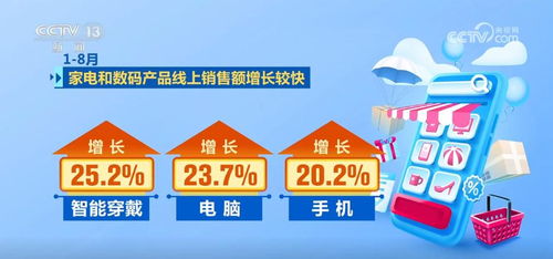 前8个月我国电子商务保持健康较快发展，消费活力持续激发