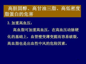 营养科技双驱动 功能食品与招生服务如何助力健康与学业